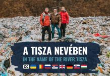 A nem szép természetfilm