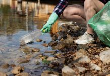 A Tiszán úszó hulladékokból készítenek tárgyakat az iskolások