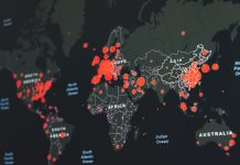 A természetrombolás egyenes út a további vírusok elterjedéséhez
