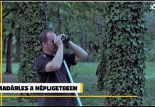 Idilli madárlesen jártunk a Népligetben – Videó