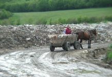 Pénzt kapnak egy román faluban, ha dokumentálják az illegálisan szemetelőket