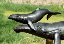 A bécsi acélbálna környezetvédelemre hívja fel a figyelmet