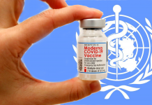 A WHO jóváhagyta a Moderna alkalmazását