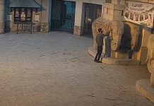 Videón a budapesti állatkert rongálója