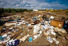 A Pilisi Parkerdőben találták a legtöbb szemetet