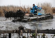 A vízgyűjtőt tisztító cég munkatársát gyanúsítják a szigetszentmiklósi olajszennyezés ügyében