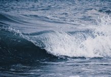 Magyarország nem támogatja az EU-s klímavédelmi tervet