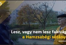 Mészáros Lőrinc cége több száz milliárdot kapna fák kivágásáért