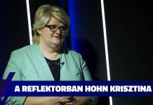 Hohn Krisztina: Völner Pál jól tette, hogy lemondott, aki ilyet tesz, nincs helye a közéletben