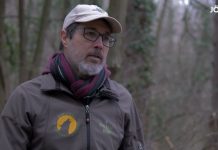 „A nagy természetességgel bíró erdőket fokozottan védeni kell!”