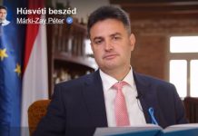 Márki-Zay Péter pártja a 2024-s EP-választáson debütál