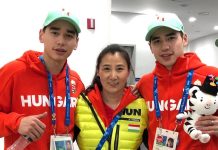 Kósa Lajos szövetsége miatt váltanak a Liu fivérek országot